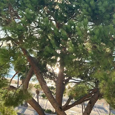 Paradisiaques, Boccacabana, Apartman *