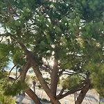 Paradisiaques, Boccacabana, Appartement *