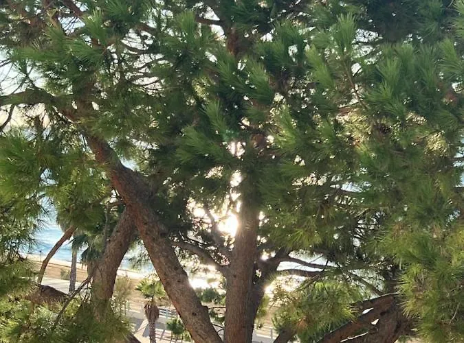 Paradisiaques, Boccacabana, Lägenhet *