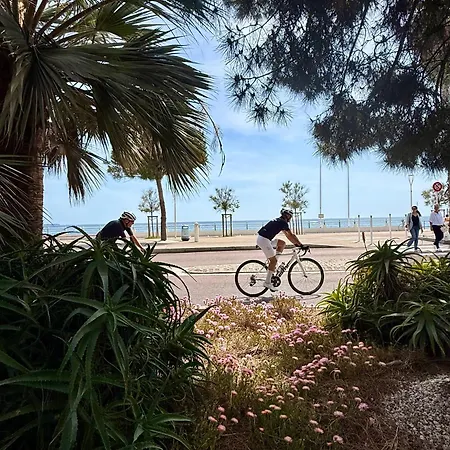 Paradisiaques, Boccacabana,