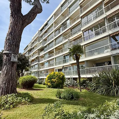 Paradisiaques, Boccacabana,