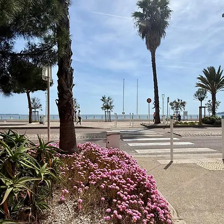 Paradisiaques, Boccacabana,